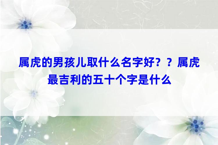 属虎的男孩儿取什么名字好？？属虎最吉利的五十个字是什么