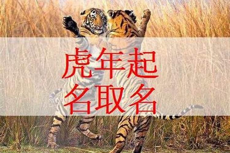 属虎的男孩儿取什么名字好？？属虎最吉利的五十个字是什么