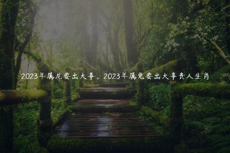 2023年属龙要出大事，2023年属兔要出大事贵人生肖