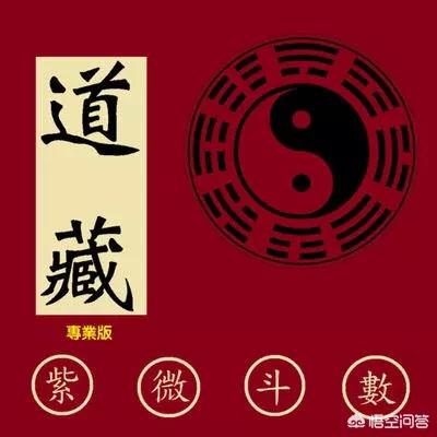 紫薇斗数带上“紫薇”二字，所以被误以为是最高